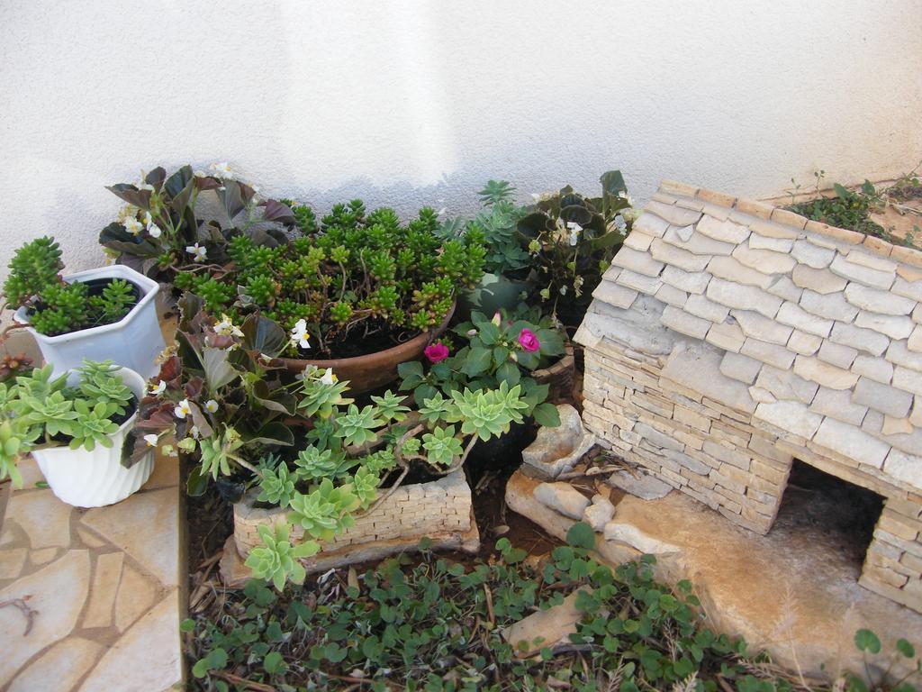 Apartments Maslina لومباردا المظهر الخارجي الصورة