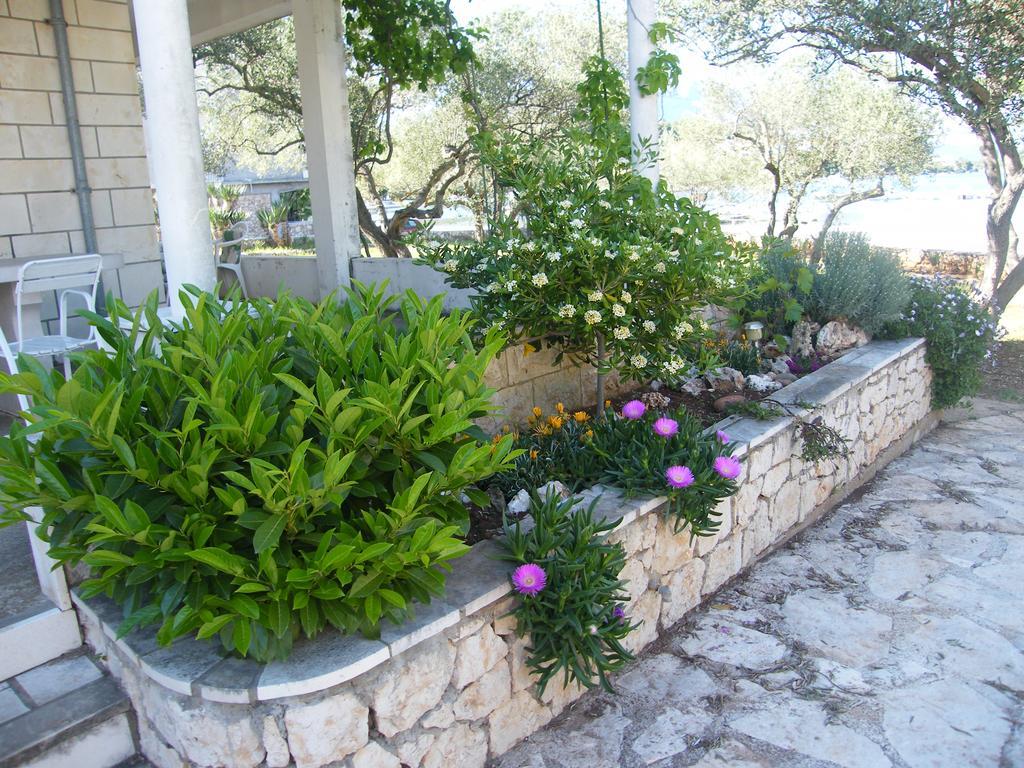 Apartments Maslina لومباردا المظهر الخارجي الصورة