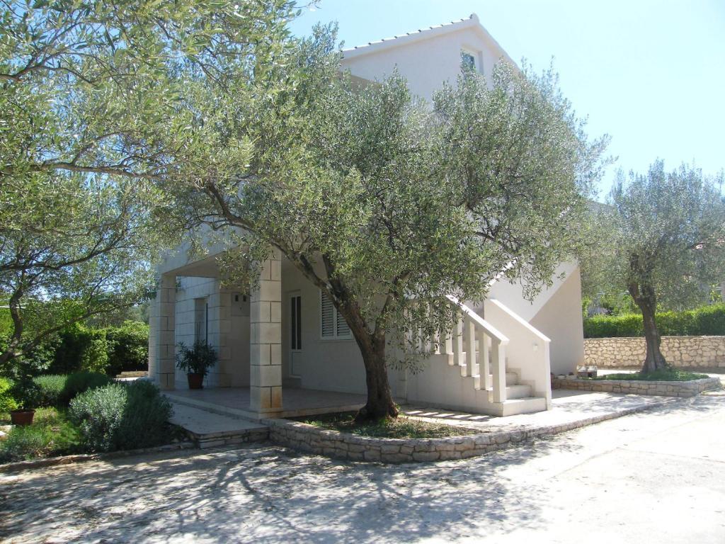 Apartments Maslina لومباردا المظهر الخارجي الصورة