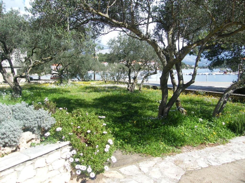Apartments Maslina لومباردا المظهر الخارجي الصورة