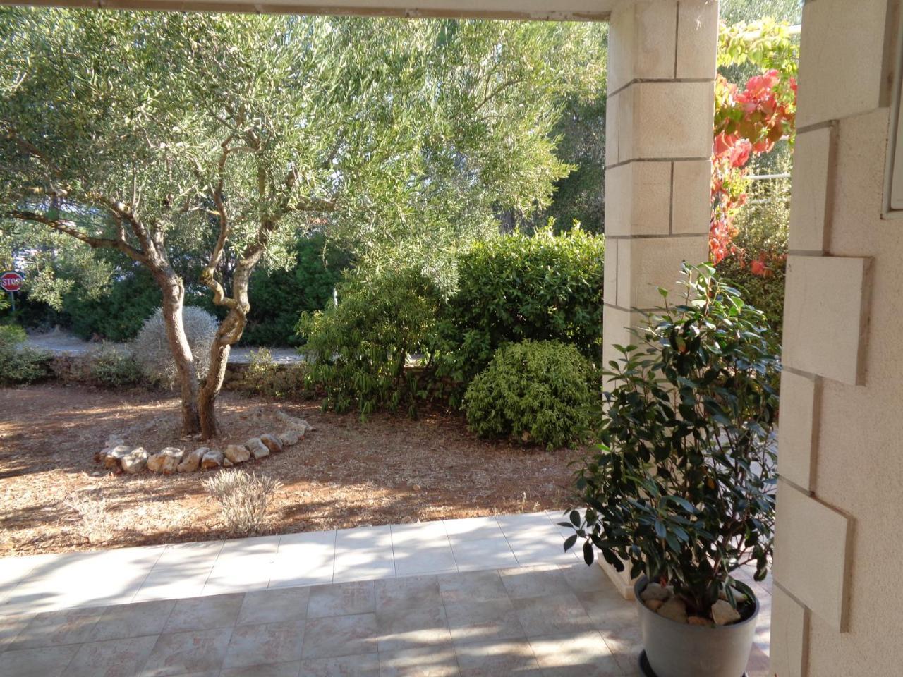 Apartments Maslina لومباردا المظهر الخارجي الصورة