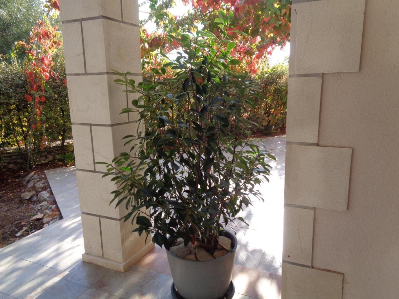 Apartments Maslina لومباردا المظهر الخارجي الصورة
